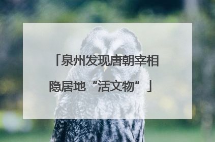 泉州发现唐朝宰相隐居地“活文物”
