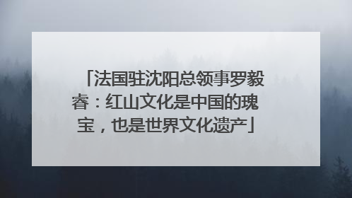 法国驻沈阳总领事罗毅睿：红山文化是中国的瑰宝，也是世界文化遗产