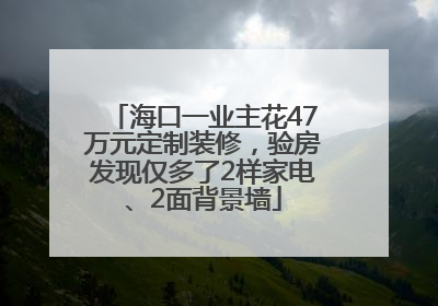 海口一业主花47万元定制装修，验房发现仅多了2样家电、2面背景墙