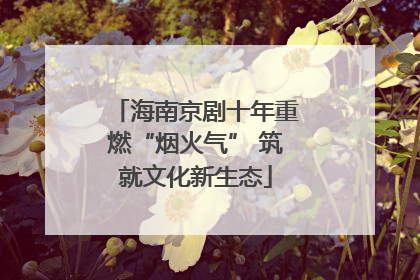 海南京剧十年重燃“烟火气” 筑就文化新生态