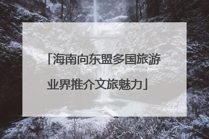 海南向东盟多国旅游业界推介文旅魅力