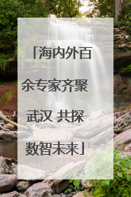 海内外百余专家齐聚武汉 共探数智未来