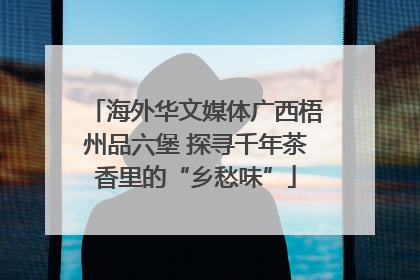 海外华文媒体广西梧州品六堡 探寻千年茶香里的“乡愁味”