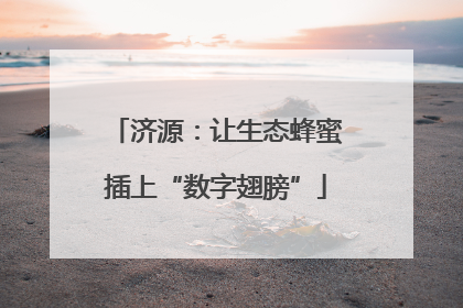 济源：让生态蜂蜜插上“数字翅膀”