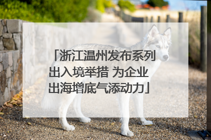 浙江温州发布系列出入境举措 为企业出海增底气添动力