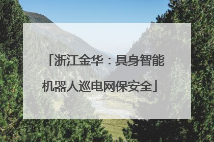 浙江金华：具身智能机器人巡电网保安全