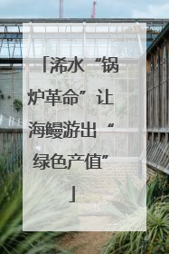 浠水“锅炉革命”让海鳗游出“绿色产值”