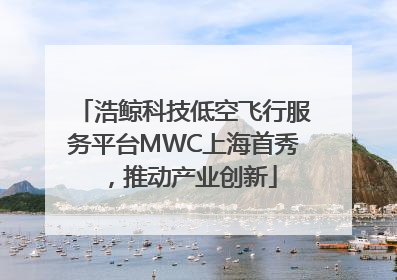 浩鲸科技低空飞行服务平台MWC上海首秀，推动产业创新