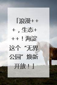 浪漫+++，生态+++！海淀这个“无界公园”焕新开放！