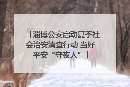 淄博公安启动夏季社会治安清查行动 当好平安“守夜人”