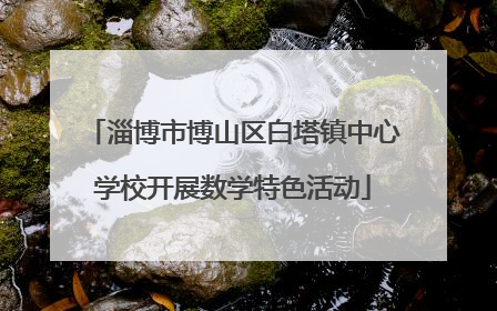 淄博市博山区白塔镇中心学校开展数学特色活动
