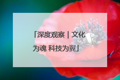 深度观察｜文化为魂 科技为翼