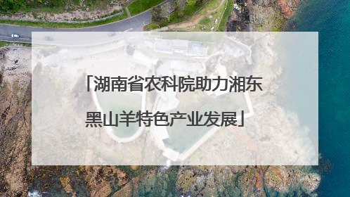 湖南省农科院助力湘东黑山羊特色产业发展