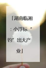 湖南临湘：小浮标“钓”出大产业