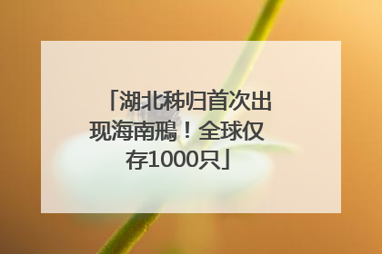 湖北秭归首次出现海南鳽！全球仅存1000只