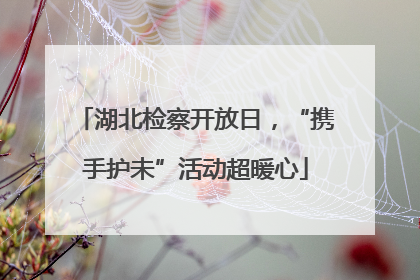湖北检察开放日，“携手护未”活动超暖心