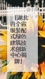 湖北首个省级装配式绿色建筑技术创新中心揭牌