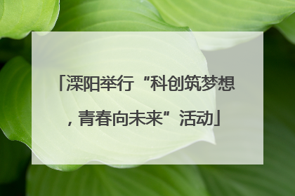溧阳举行“科创筑梦想，青春向未来”活动