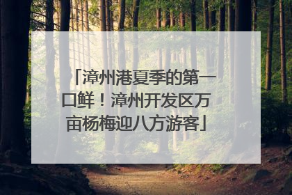漳州港夏季的第一口鲜！漳州开发区万亩杨梅迎八方游客
