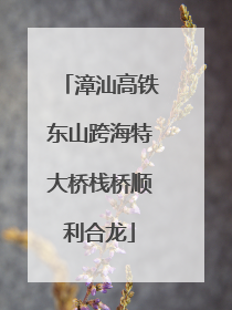 漳汕高铁东山跨海特大桥栈桥顺利合龙