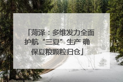 菏泽：多维发力全面护航“三夏”生产 确保夏粮颗粒归仓