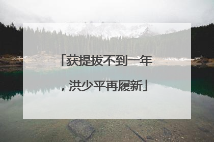 获提拔不到一年，洪少平再履新