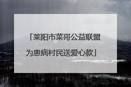 莱阳市菜哥公益联盟为患病村民送爱心款