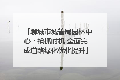 聊城市城管局园林中心：抢抓时机 全面完成道路绿化优化提升