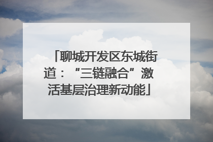 聊城开发区东城街道：“三链融合”激活基层治理新动能