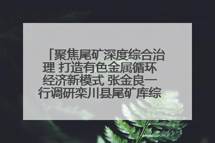 聚焦尾矿深度综合治理 打造有色金属循环经济新模式 张金良一行调研栾川县尾矿库综合治理工作