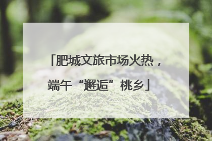 肥城文旅市场火热，端午“邂逅”桃乡