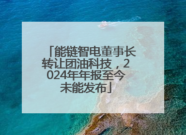 能链智电董事长转让团油科技，2024年年报至今未能发布