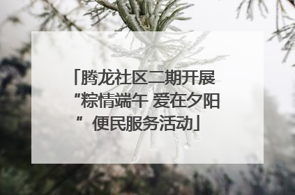 腾龙社区二期开展 “粽情端午 爱在夕阳”便民服务活动