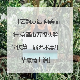 艺韵万福 向美而行 菏泽市万福实验学校第一届艺术嘉年华燃情上演