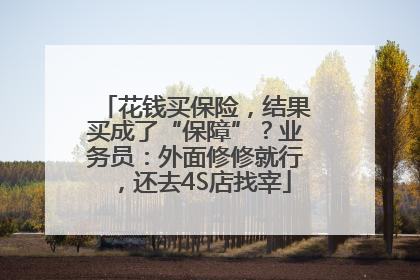花钱买保险，结果买成了“保障”？业务员：外面修修就行，还去4S店找宰