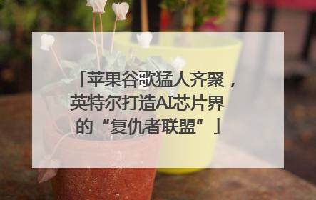 苹果谷歌猛人齐聚，英特尔打造AI芯片界的“复仇者联盟”