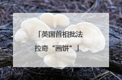 英国首相批法拉奇“画饼”