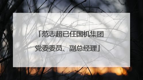 范志超已任国机集团党委委员、副总经理