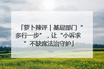 萝卜辣评｜基层部门“多行一步”，让“小诉求”不缺席法治守护