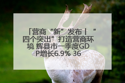 营商“新”发布丨“四个突出”打造营商环境 辉县市一季度GDP增长6.9% 36个重点项目落地
