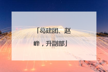 葛建团、赵峰，升副部