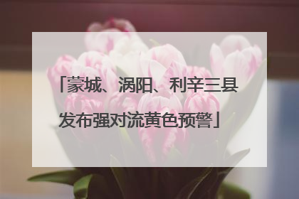 蒙城、涡阳、利辛三县发布强对流黄色预警