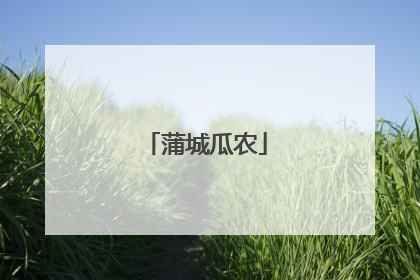 蒲城瓜农