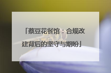 蔡豆花餐馆：合规改建背后的坚守与期盼
