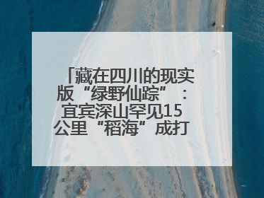 藏在四川的现实版“绿野仙踪”：宜宾深山罕见15公里“稻海”成打卡新地标