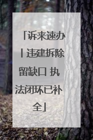 诉来速办丨违建拆除留缺口 执法闭环已补全