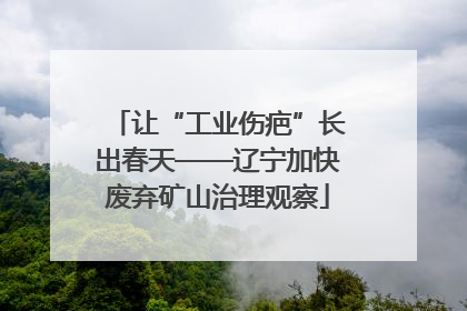 让“工业伤疤”长出春天——辽宁加快废弃矿山治理观察