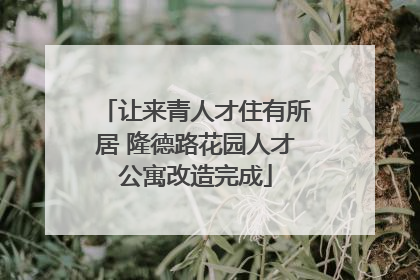 让来青人才住有所居 隆德路花园人才公寓改造完成