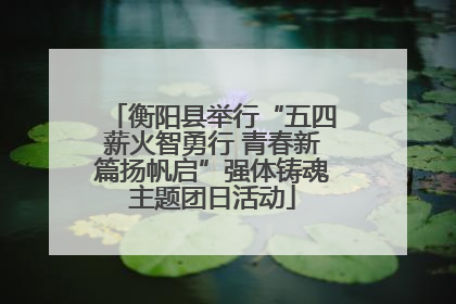 衡阳县举行“五四薪火智勇行 青春新篇扬帆启”强体铸魂主题团日活动