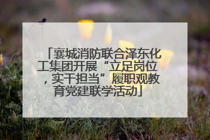 襄城消防联合泽东化工集团开展“立足岗位，实干担当”履职观教育党建联学活动